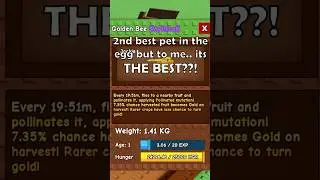 THE BEST PET IN THE NEW BEE EGG?! #growagarden #roblox