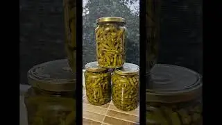 Pastai de fasole verde la borcan pentru iarna