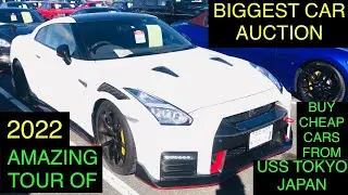 Tokyo Auction 2022, car bids in Japanese auction japan