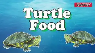 TAIYO TURTLE FOOD