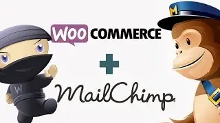 Mailchimp + Woocommerce integration. How to connect them together