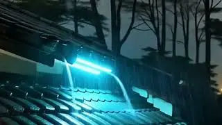 Blue Night Rain Ambience | Calm Rooftop ASMR for Rest | Relaxing 