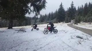 First snow Muntii Tarcu
