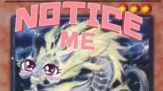 Tenpai Dragon Compilation 3