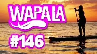 WAPALA Mag #146 | Test Move 'n See | SUP en Amazonie | Quik Pro France | America's Cup