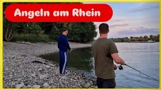 ANGELN am RHEIN 2025. SPINNFISCHEN ohne ENDE 🎣😲