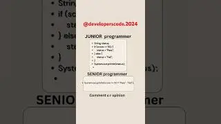 senior programmer vs junior programmer 