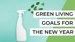 Eco-Friendly Resolutions (Green Living Goals for the New Year)