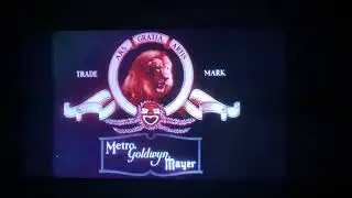 Metro Goldwyn Mayer (Coffee The Lion)