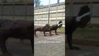 comment gagner en puissance #viralvideo #motivation #shorts #gym #exercise #muscle #freefire #free