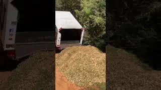15 yards of free wood chips #GetChipDrop