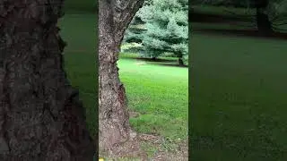 Natural camping site