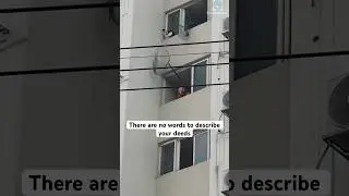 Thank you for rescue the poor kitty 🙏 #shorts #cat #catlover