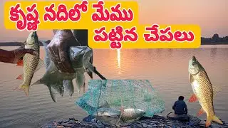 కృష్ణ నదిలో మేము పట్టిన చేపలు #fishing #krishnariverfloods #viralvideo 