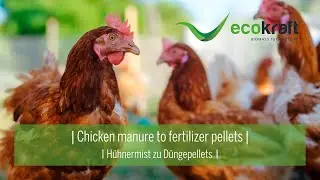 ECOKRAFT - Chicken manure to fertilizer pellets