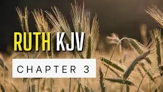 Book of Ruth Chapter 3 | KJV Audio Bible | Words + No music