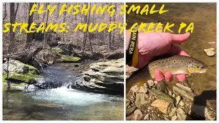 Fly Fishing for Trout in SMALL STREAMS: 20 Minute FISHING CHALLENGE!!! Muddy Creek PA and a Trib