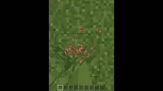 ALL MINECRAFT MLG TYPES!!! #shorts