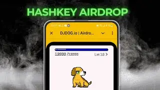 Hashkey Exchange airdrop tutorial  । English