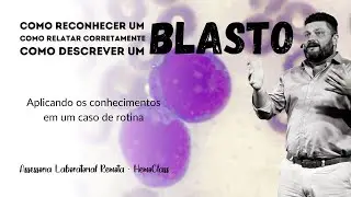 Analisando, DESCREVENDO e liberando corretamente um BLASTO