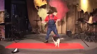 PIG tricks