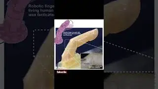 artificial skin for robot look like real human.
