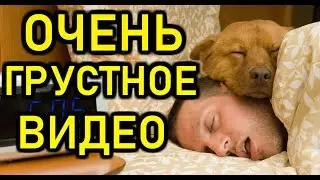 СМОТРИ, ТОЛЬКО НЕ  ПЛАЧЬ. #ПЕЧАЛЬНАЯ ИСТОРИЯ. #МИСТИКА