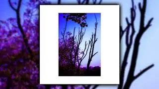 RAAT - Once (Full EP)