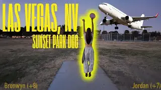 When Disc Golf and Van life collide