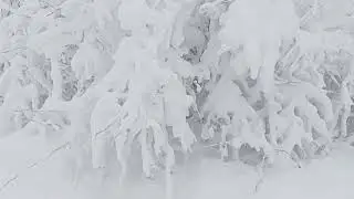 Snow