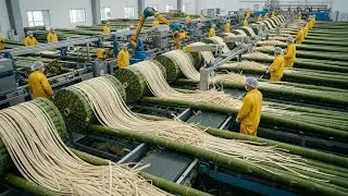 Inside the Largest High-Tech Bamboo Stem Factory You&rsquo;ve Never Seen Before (Full Process)