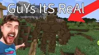 Fake minecraft videos be like