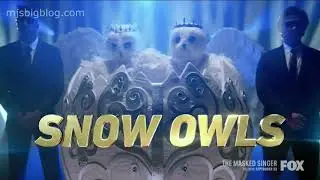 The Masked Singer Season 4   Meet Snow Owls