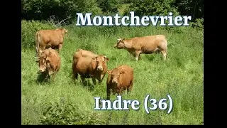 Montchevrier 36140  Indre 36