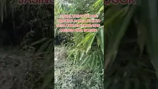 TANAH MURAH BOS KUH