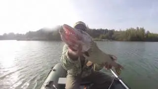 PIKE & PERCH FISHING POLAND 2016