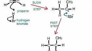 Electrophilc addition of HBr to propene: Markovnikov's Rule for addition to asymmetric alkenes