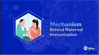 Mechanism Behind Maternal Immunization