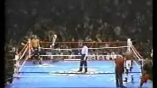 Bernard Hopkins vs Segundo Mercado 2 - 1/3