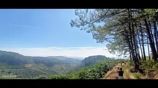Authentic Dalat Coffee Farm & Hikking Experience.