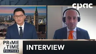 Gun Buy Back Program Won't Work, Says Frank Caputo