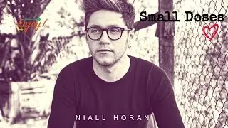 Niall Horan - Small Doses ♡