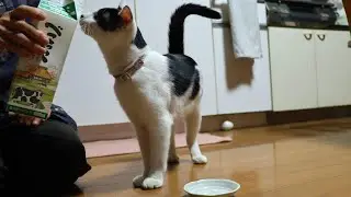 べこっこ牛乳　260117