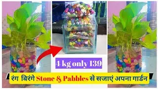 Online Pebbles Stone - Just 139 Rs.! #Pebbels #GardenDecor #DIYIdeas #Colourful Stones #Gardn