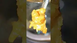 Blue Cheese Flower Rosin Meltshot 🍯😶&zwj;🌫️