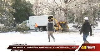 Tree service companies busy after winter weather