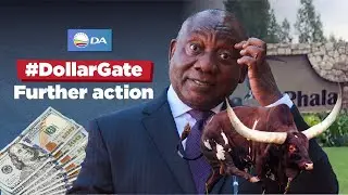 #DollarGate: DA Leader announces further action