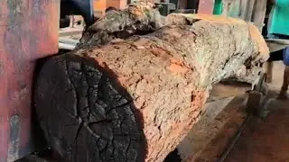 The sawing process of the wood phenomenon in the form of langak which produces beautiful fibers