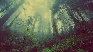 Soothing Nature Transitions