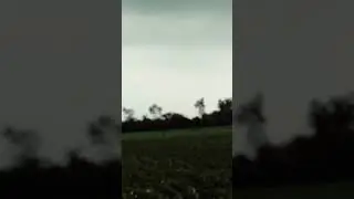 Farmer #Need Rain#